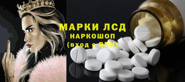ПСИЛОЦИБИНОВЫЕ ГРИБЫ Алзамай