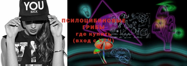 гидропоника Алексин