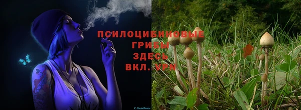 кокаин перу Алексеевка