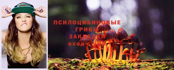 ПСИЛОЦИБИНОВЫЕ ГРИБЫ Алзамай