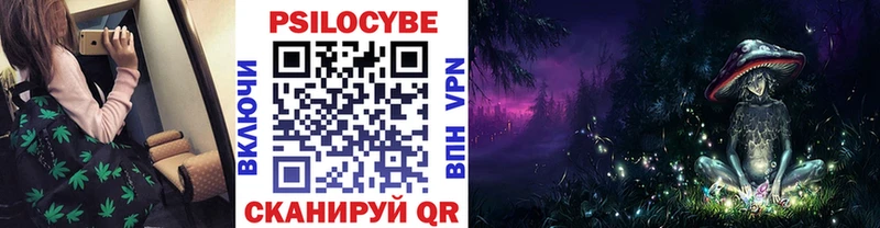 дарнет шоп  Копейск  Псилоцибиновые грибы MAGIC MUSHROOMS 